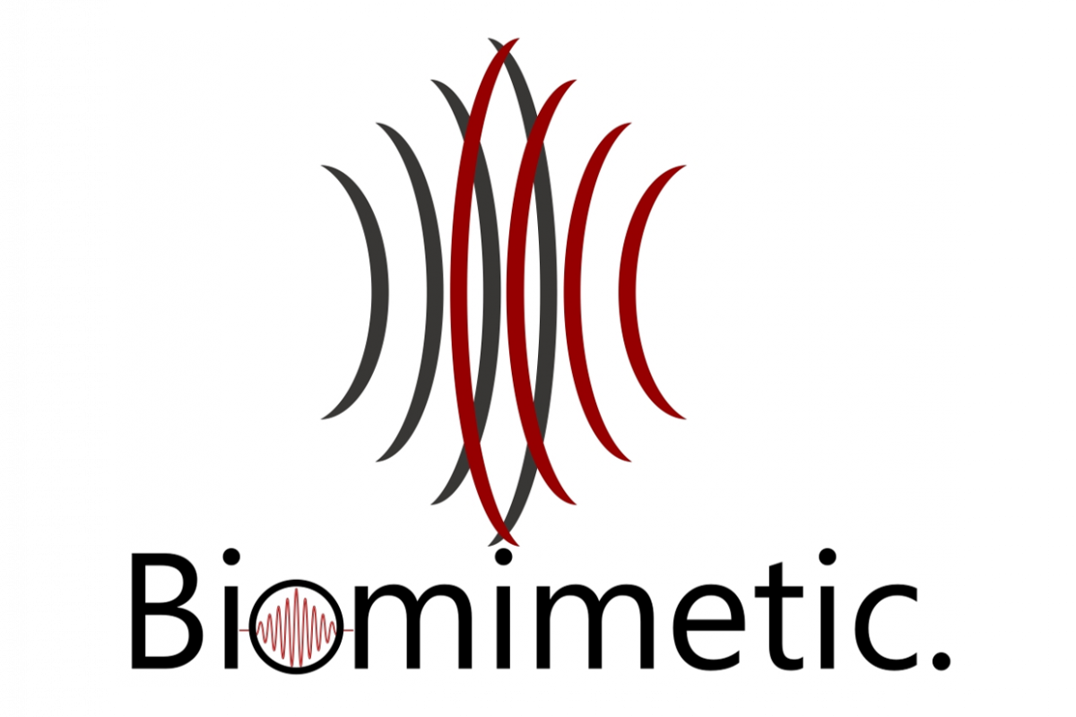 BIOMIMETIC